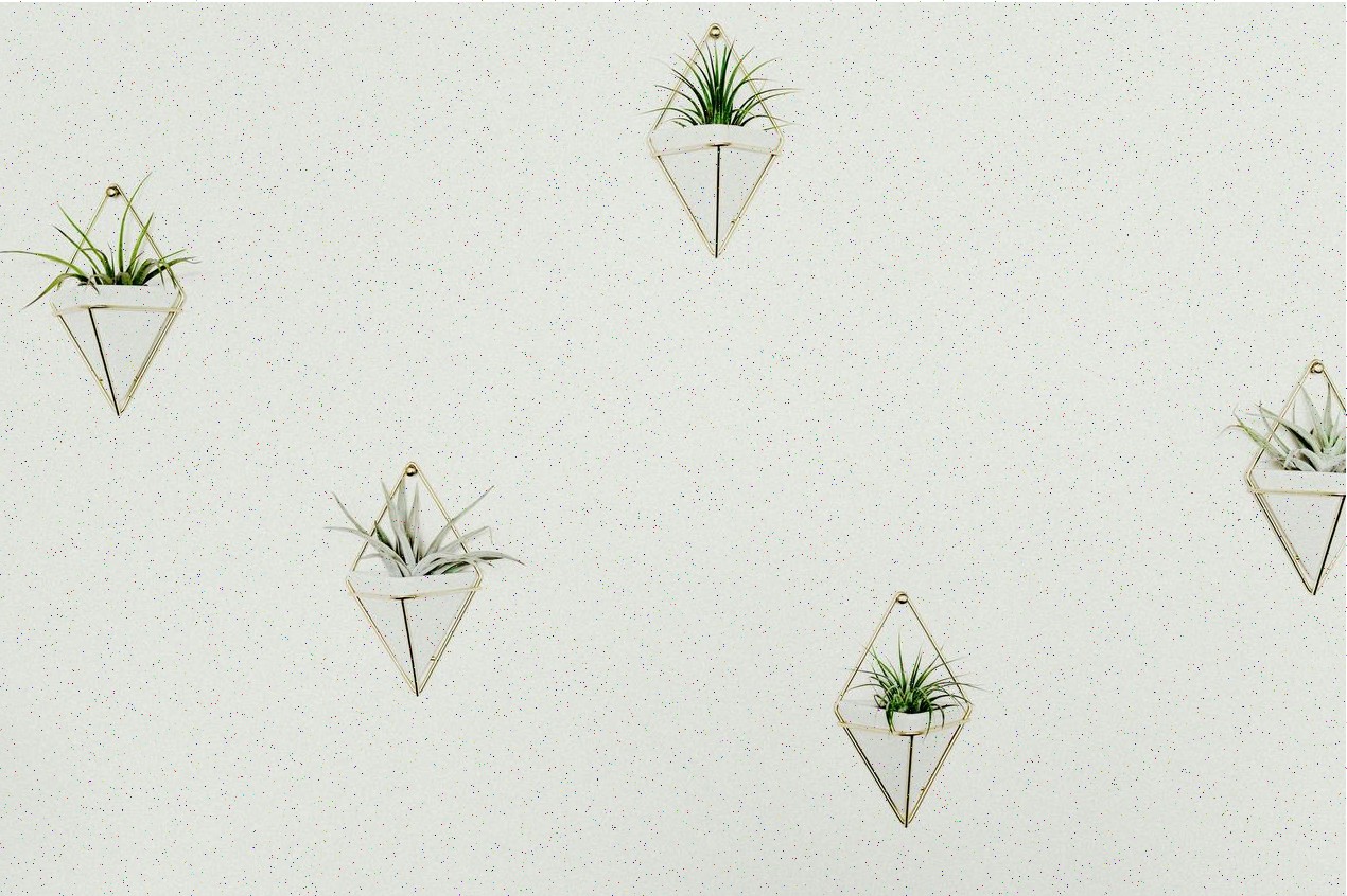 Creativos y dashboards