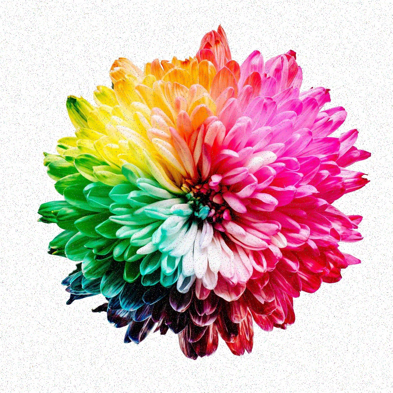 Canales y ubicaciones