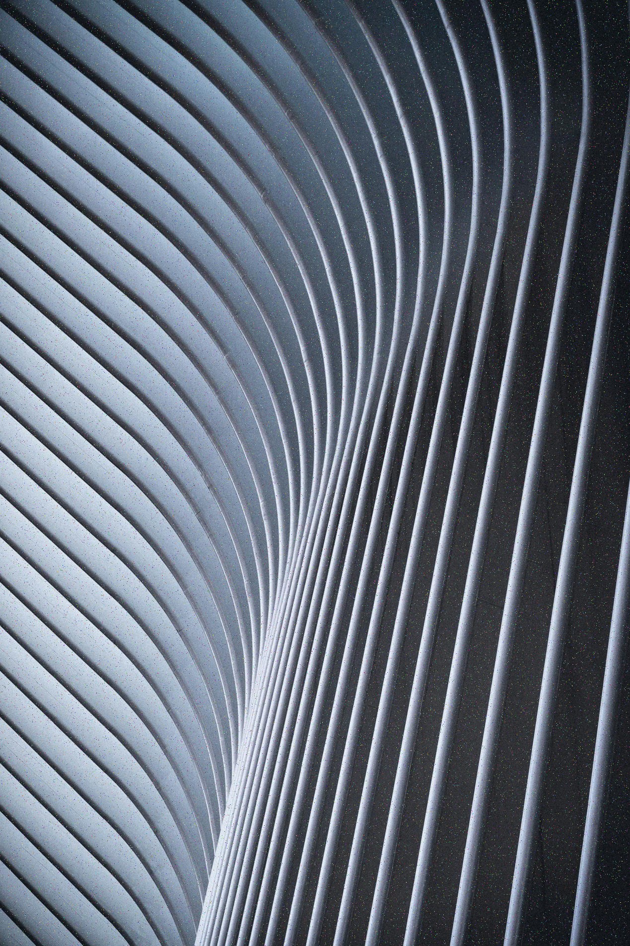 Muestra paleta y tipografías